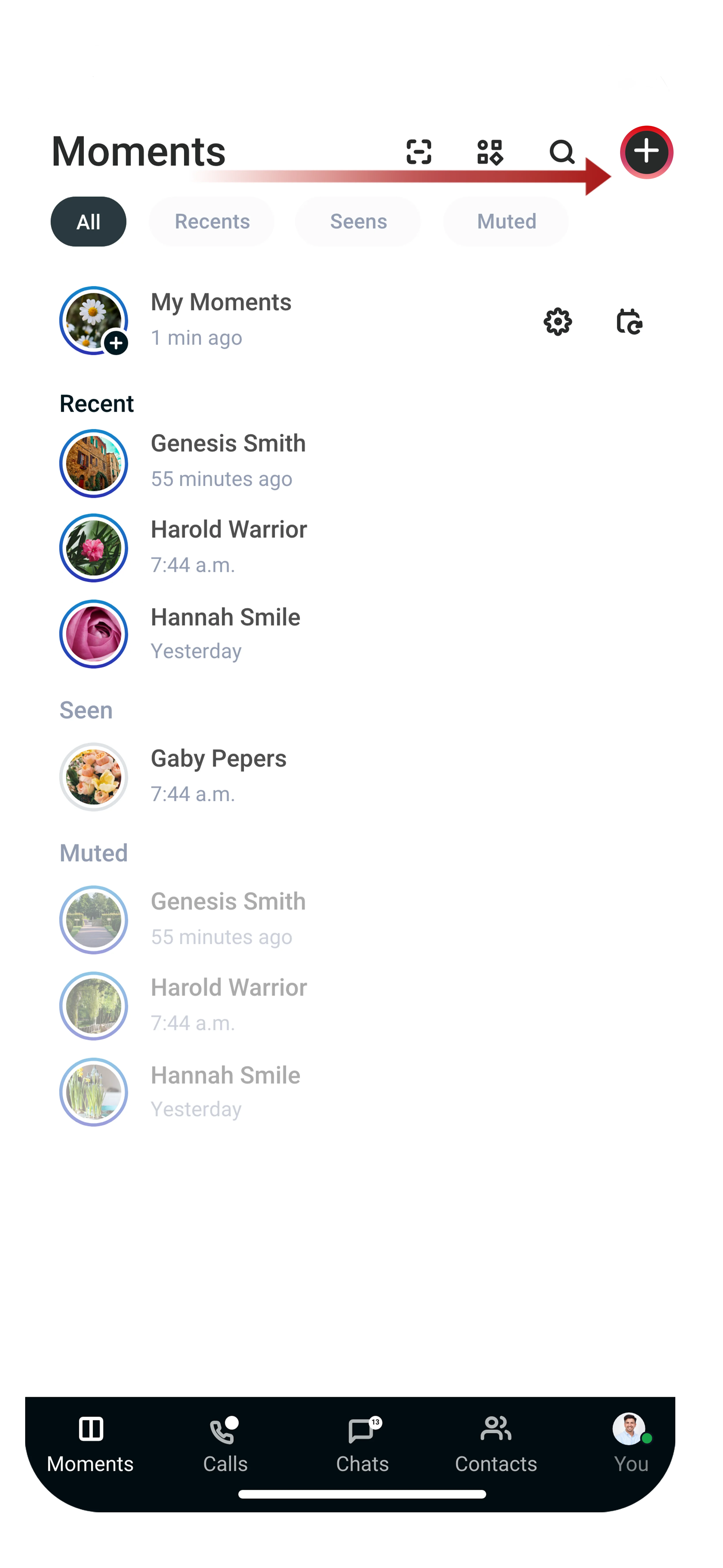 The Moments feed showing Recent, Seen, and Muted sections with contact avatars