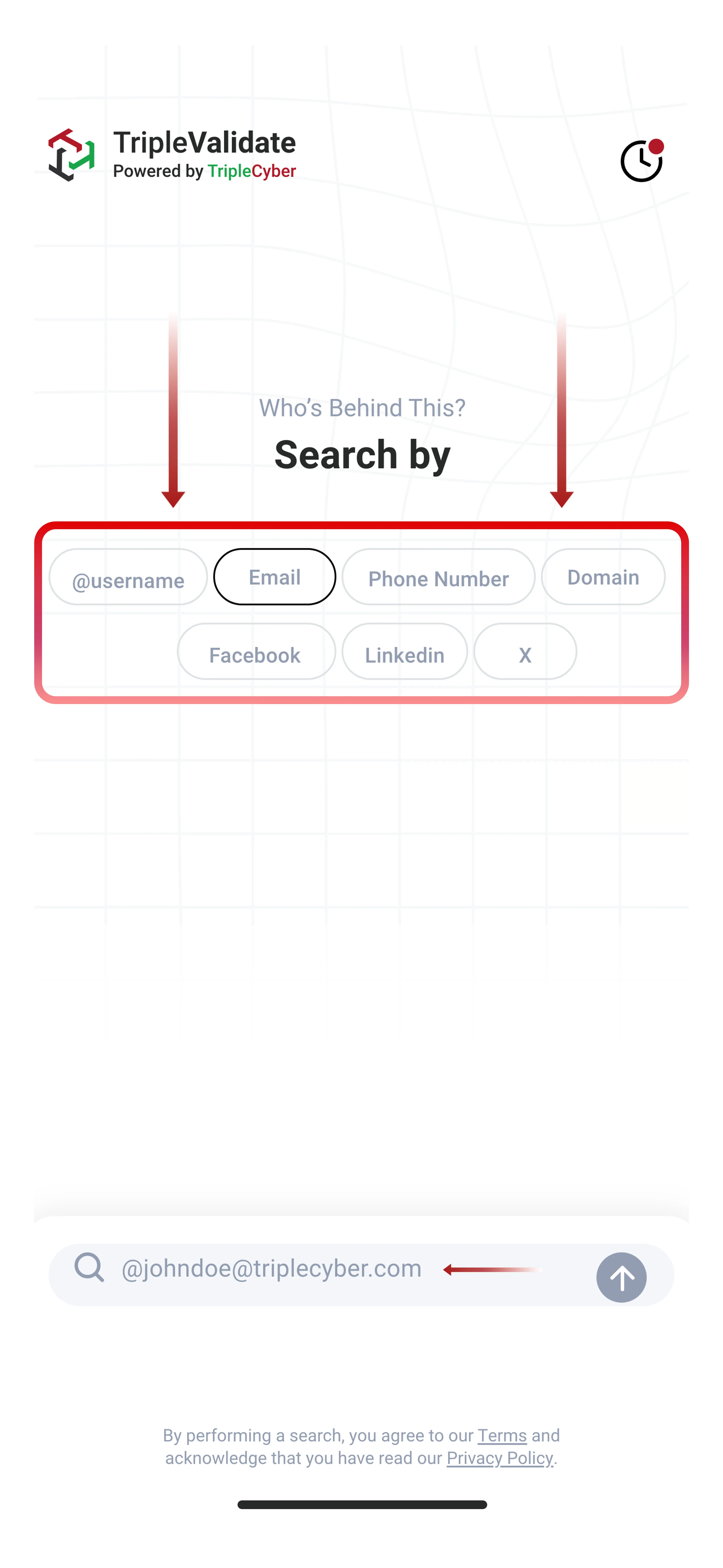 TripleValidate search interface